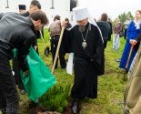 images/2026/Na_baze_prihoda_hrama_ikoni_Bozhiey/