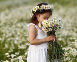 images/2026/Pochemu_imenno_romashka_stala_simvolom_Dnya7836482.jpg