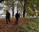 images/2026/Sotsialnie_masterskie_/