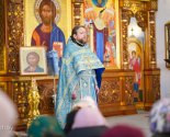images/2026/V_prazdnik_Sreteniya_Gospodnya_Patriarshiy_Ekzarh_0215193426/