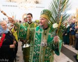 images/2026/V_prazdnik_Vhoda_Gospodnya_v_Ierusalim_0405194119/